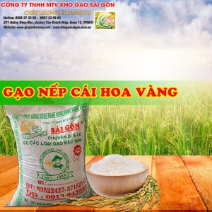 Gạo nếp cái hoa vàng