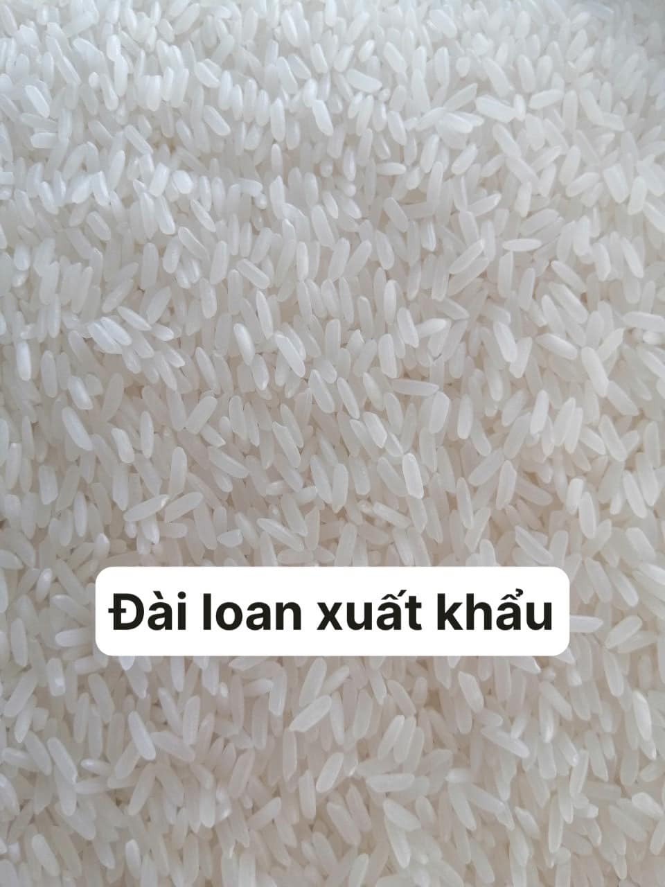 Gạo thơm Đài Loan Xuất Khẩu