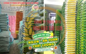 Kho gạo Sài Gòn - Tổng kho gạo sỉ Miền Nam uy tín, chất lượng