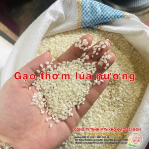 Gạo thơm lúa nương