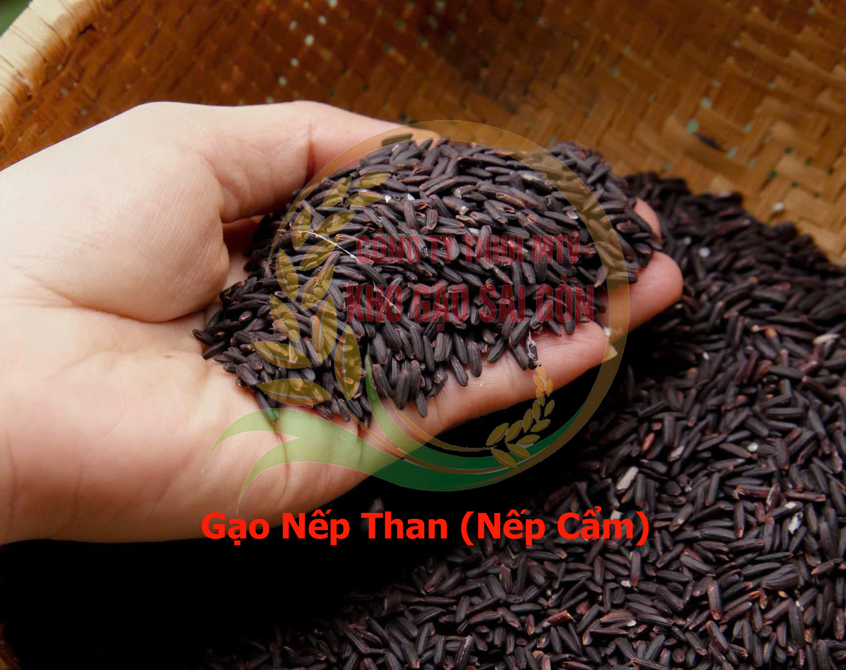 gao-nep-Than Nếp than ( Nếp Cẩm )